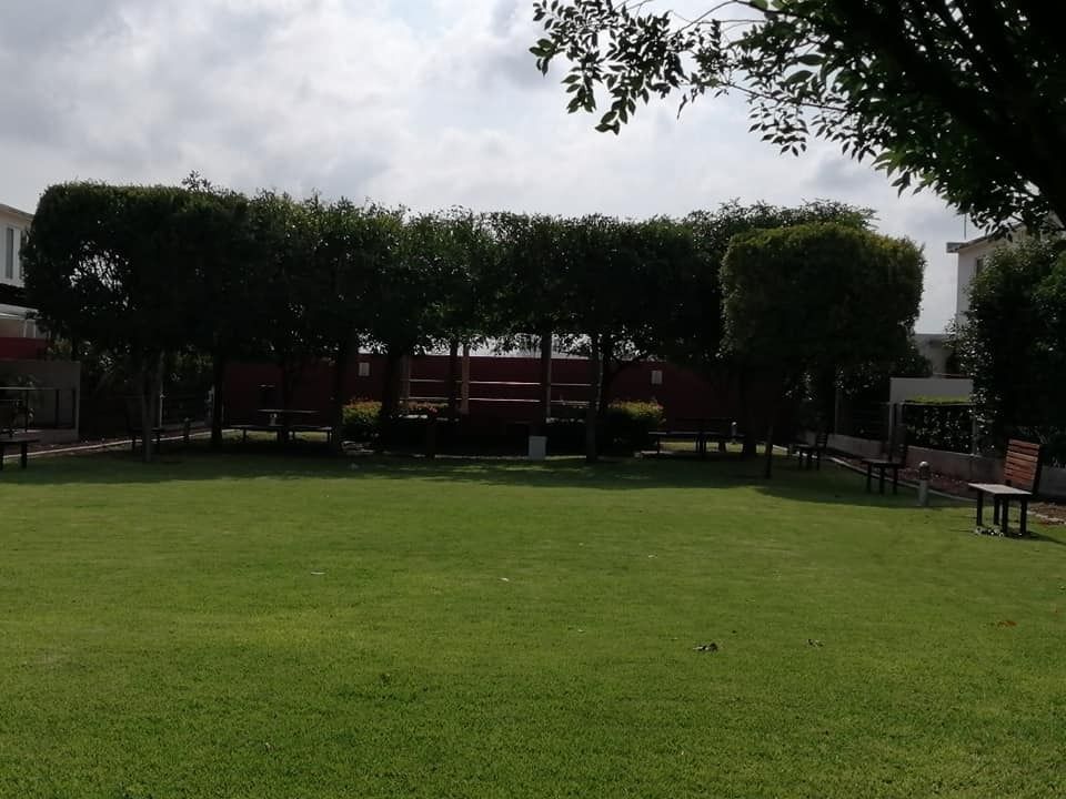 15 de 17
