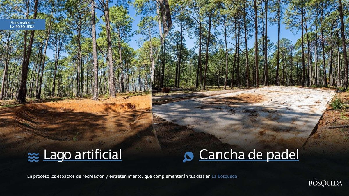 Lotes en Venta en la Bosqueda, Tapalpa Jalisco L-1