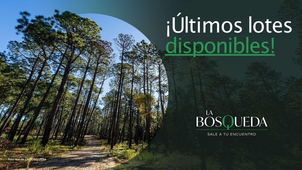 Lotes en Venta en la Bosqueda, Tapalpa Jalisco L-4