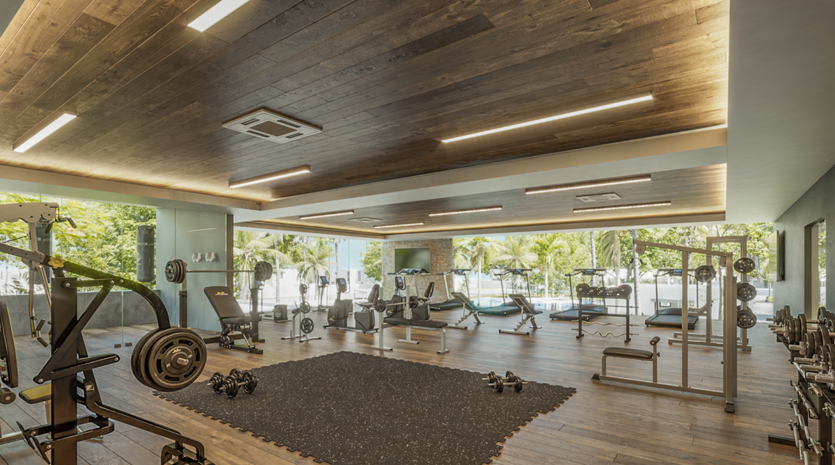 7 de 19: Gimnasio
