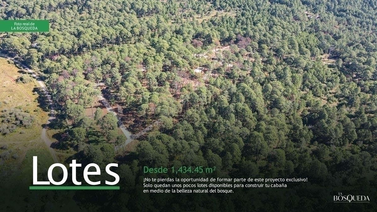 Lotes en Venta en la Bosqueda, Tapalpa Jalisco L-18