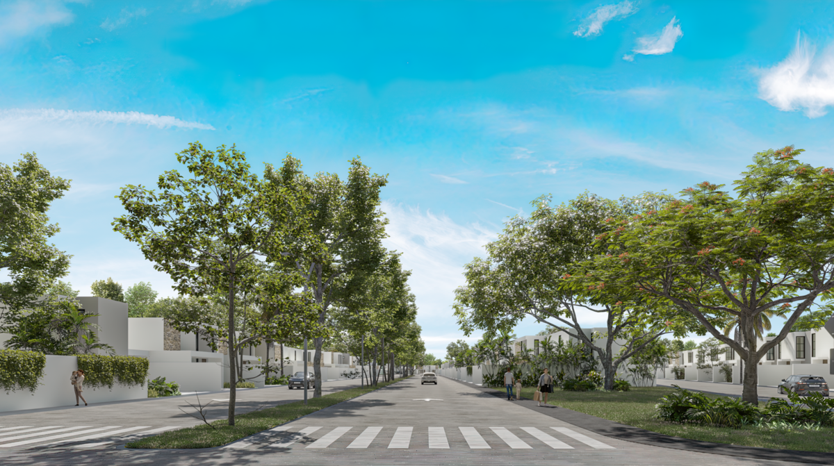 18 de 19: Avenida