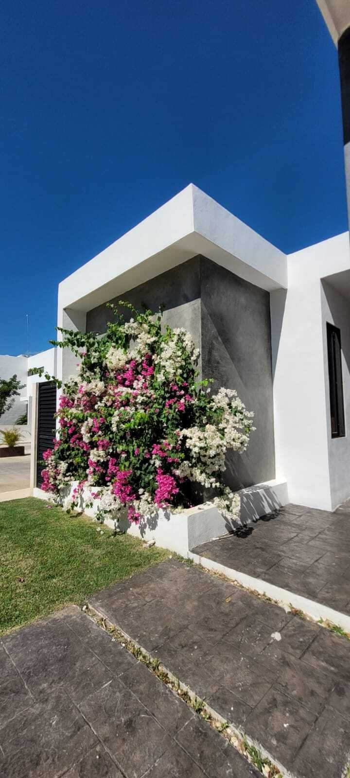 1 de 8