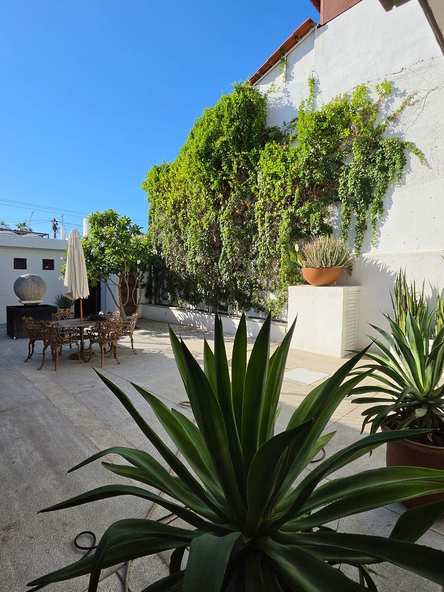 Casa em Centro, La Paz, foto 4 de 37