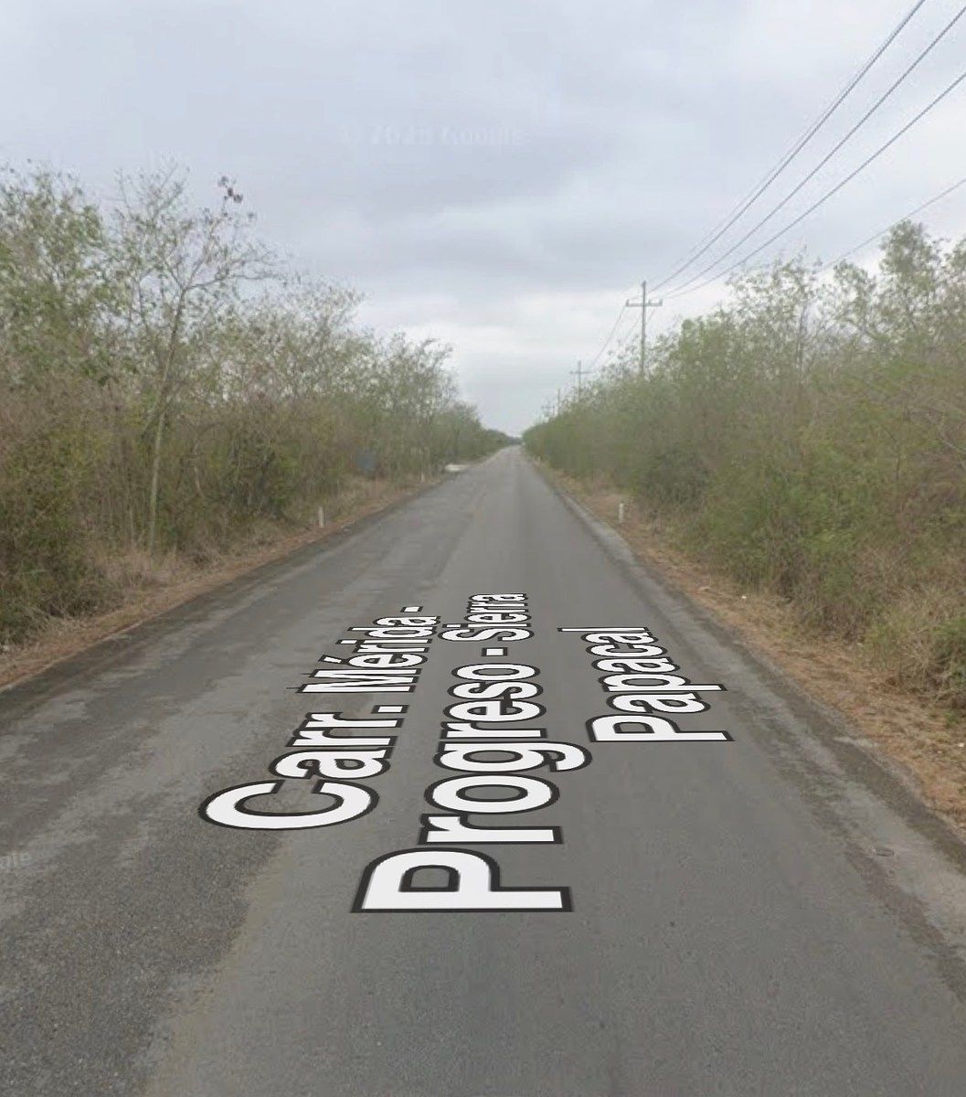Lote em Sierra Papacal, Mérida, foto 5 de 6