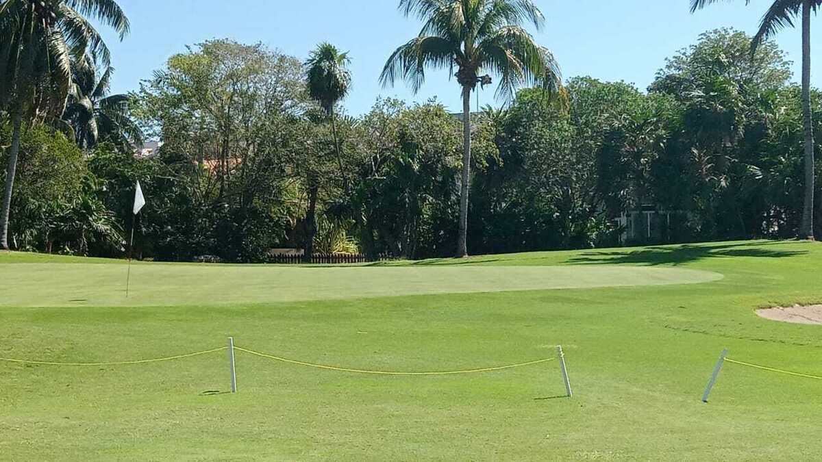 4 de 6
