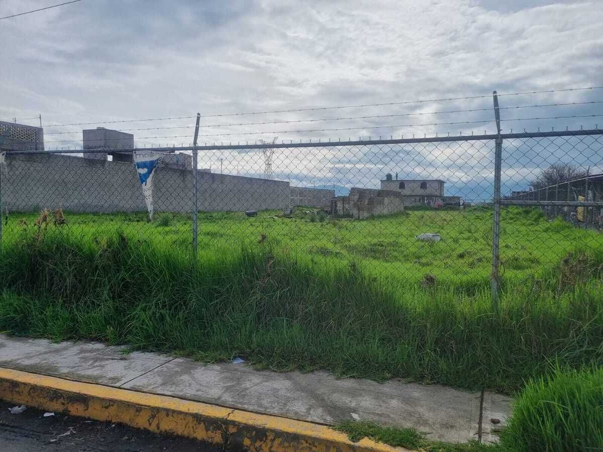 Imagen 2 de 3