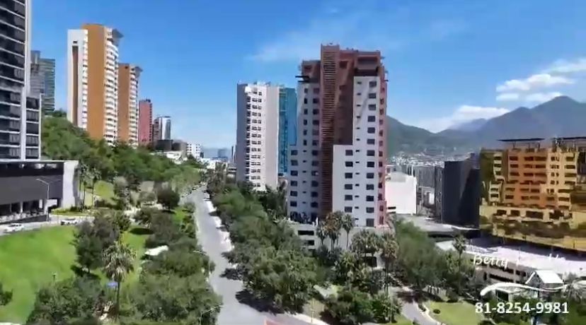 13 de 14