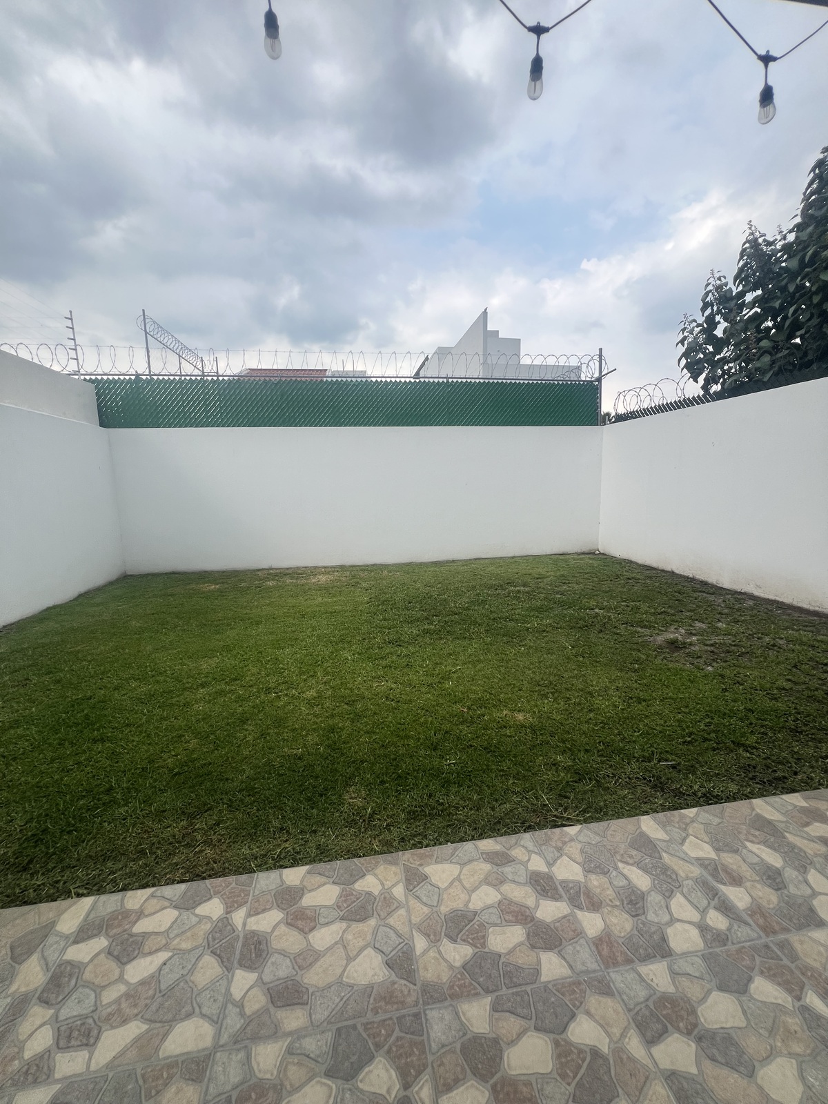 7 de 39