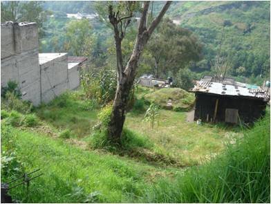 5 of 10: Terreno desde calle principal