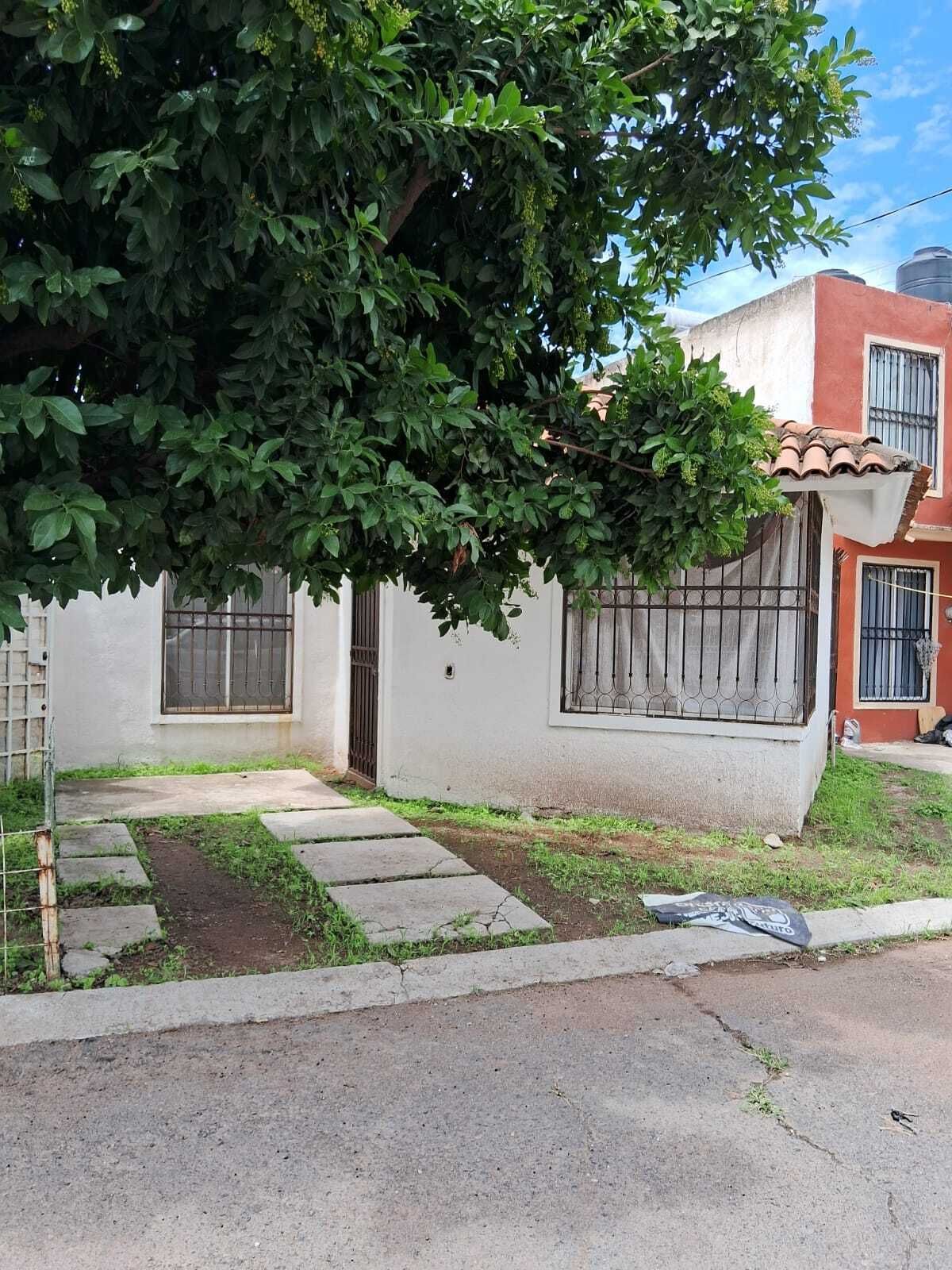 3 de 17