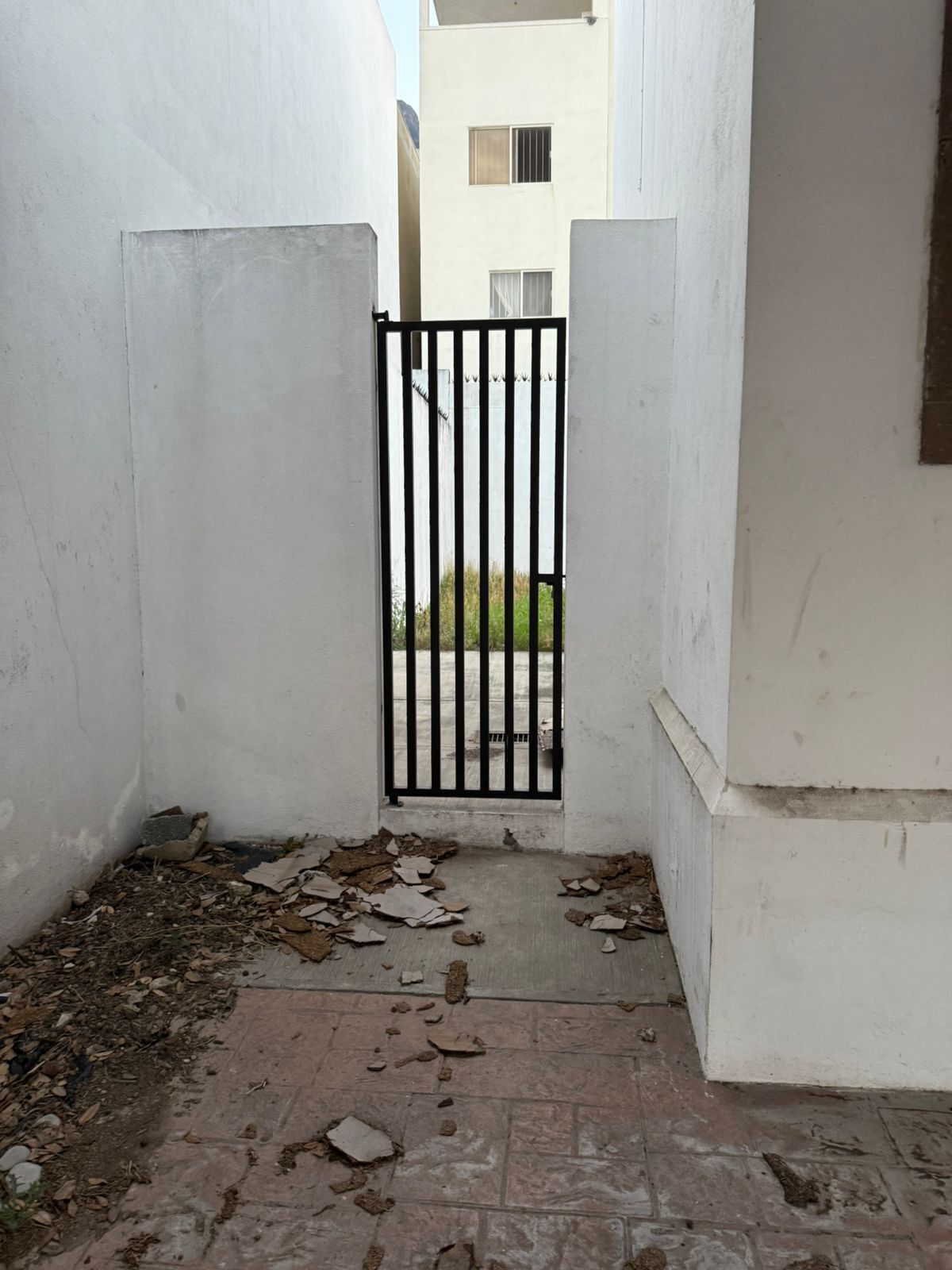 6 de 26