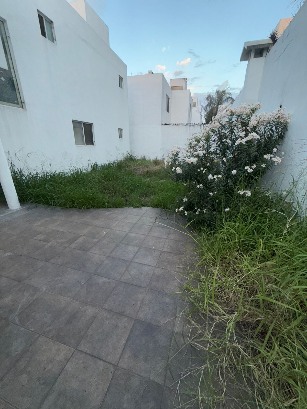 29 de 29: PATIO TRASERO