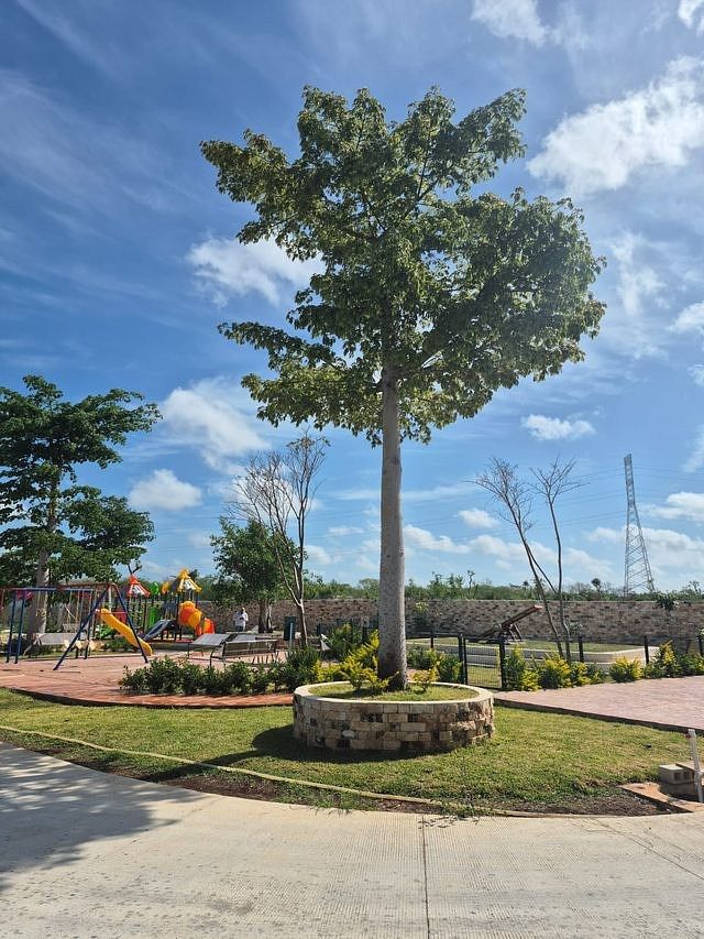 Terreno en Cholul, Mérida, foto 16 de 16