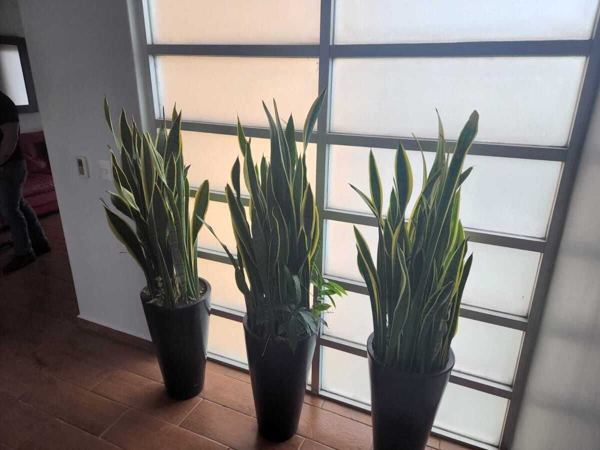 Casa en condominio en Amomolulco, Lerma, foto 14 de 21