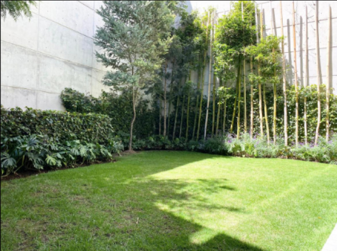 22 de 28: Jardin