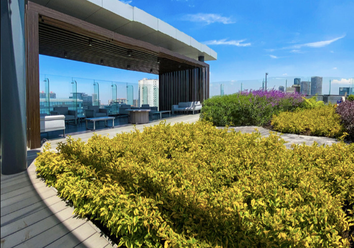 27 de 28: Roof top