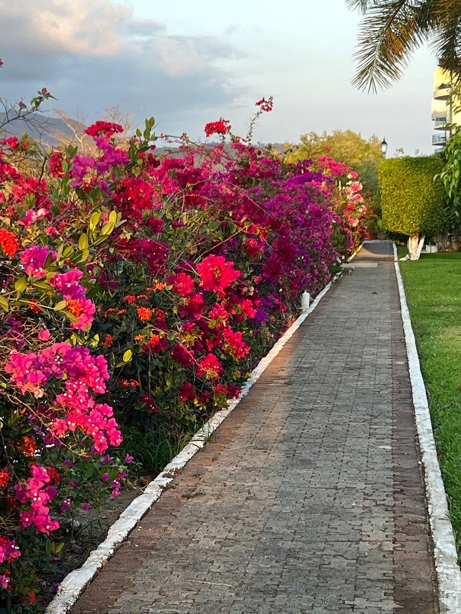 Casa em condomínio fechado em Marina Ixtapa, Zihuatanejo de Azueta, foto 2 de 48