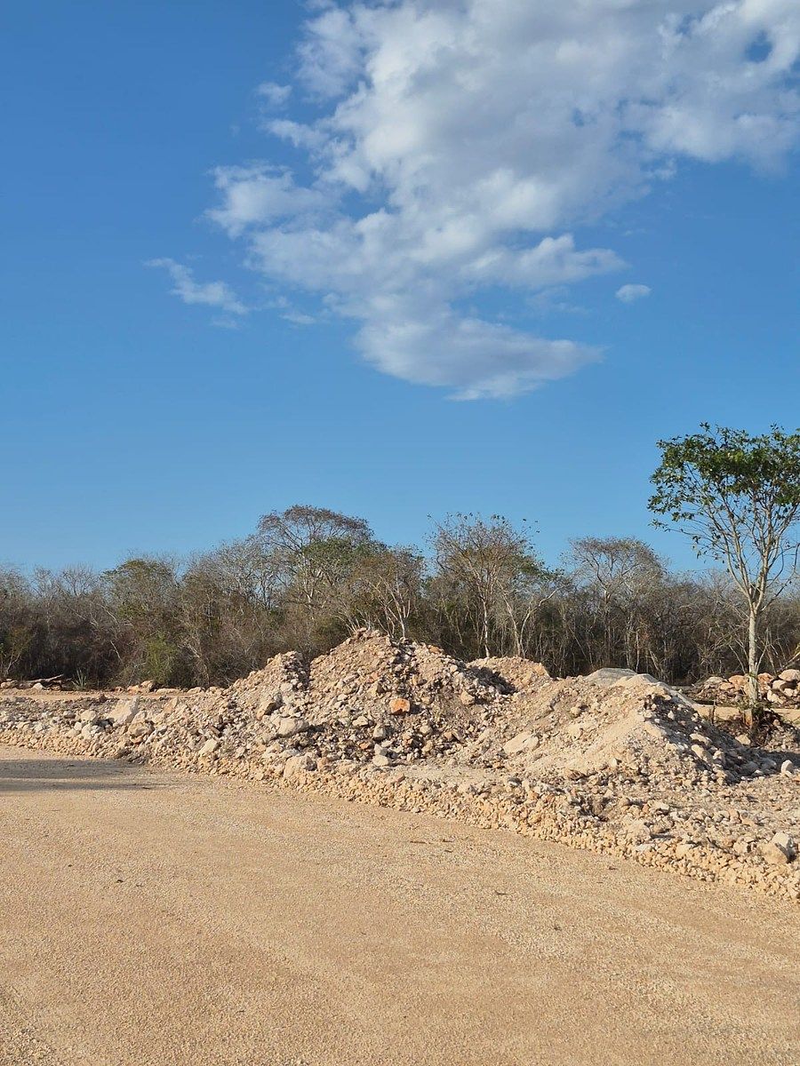 16 de 18: AVANCE 2026