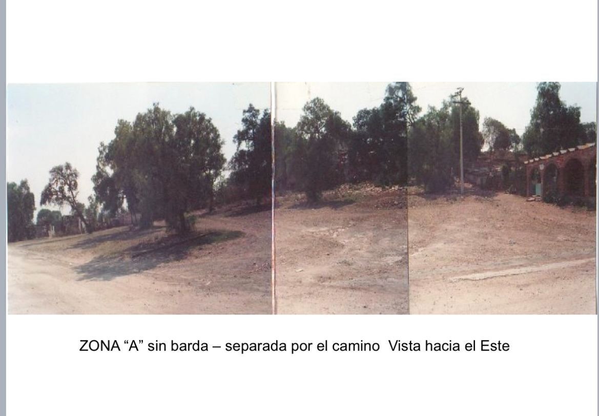 11 de 24