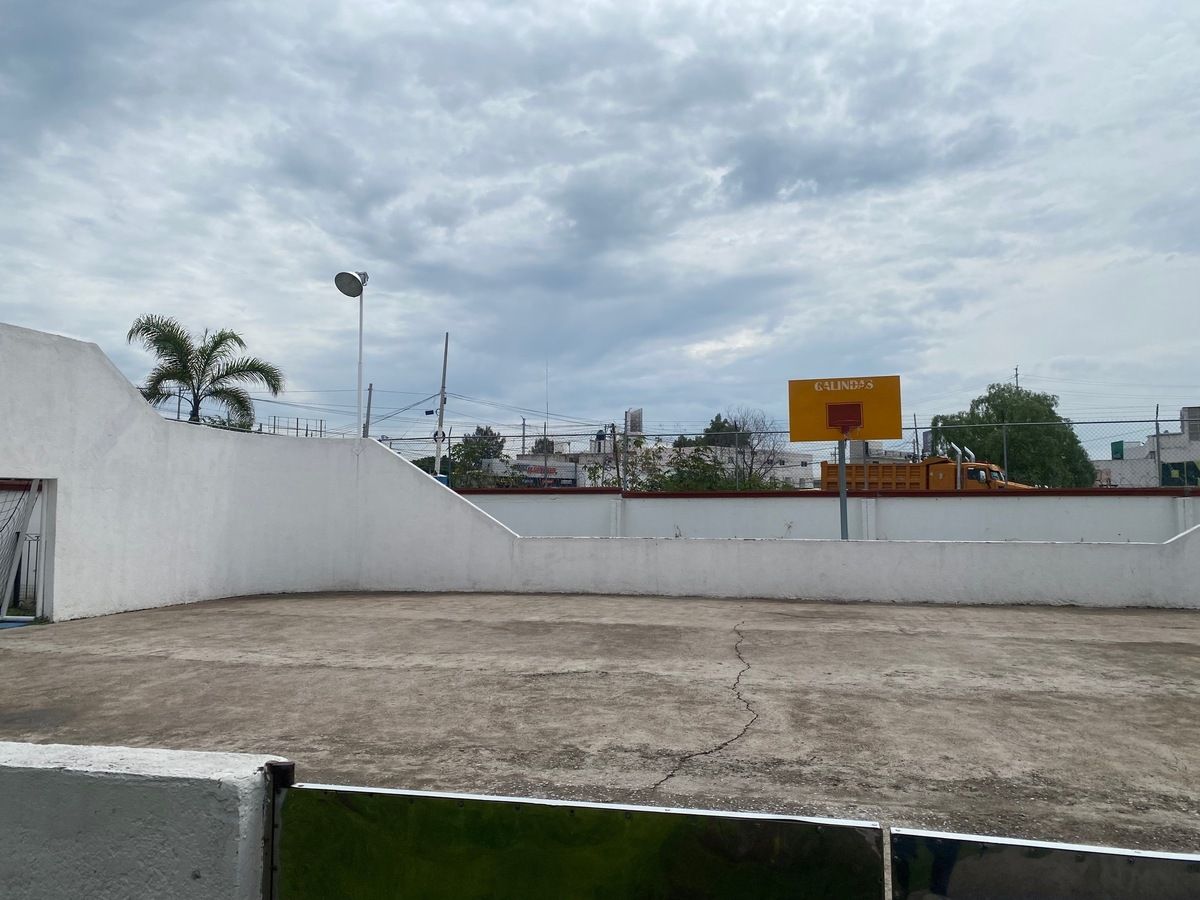 11 de 14