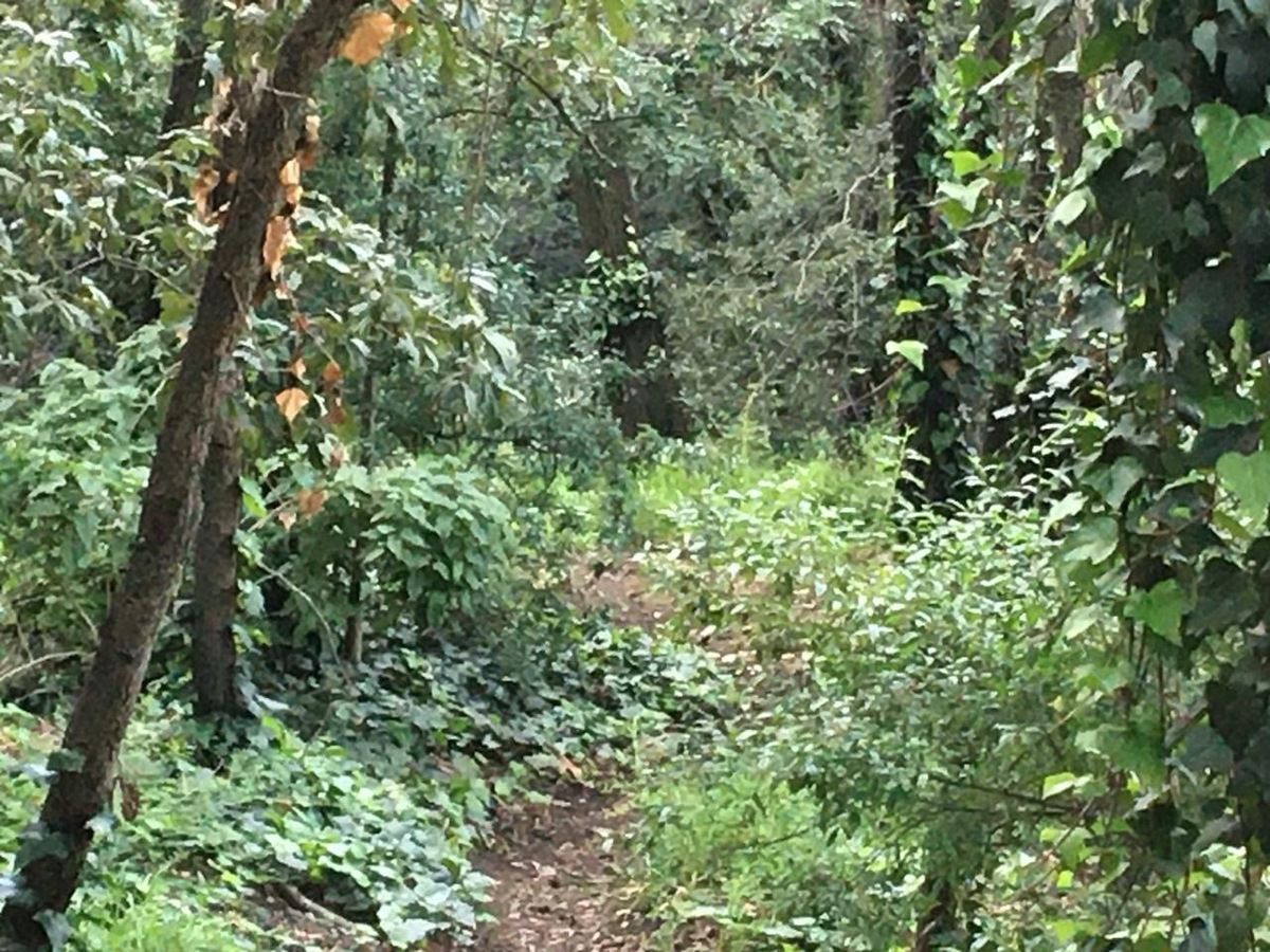 2 de 5
