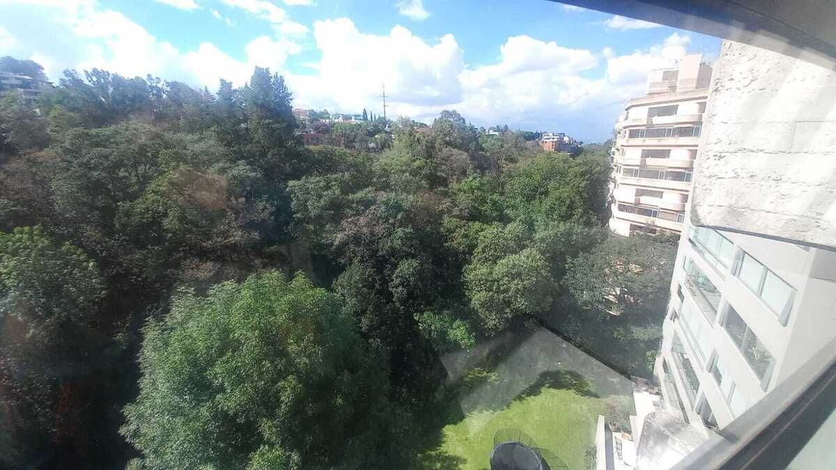 3 de 31