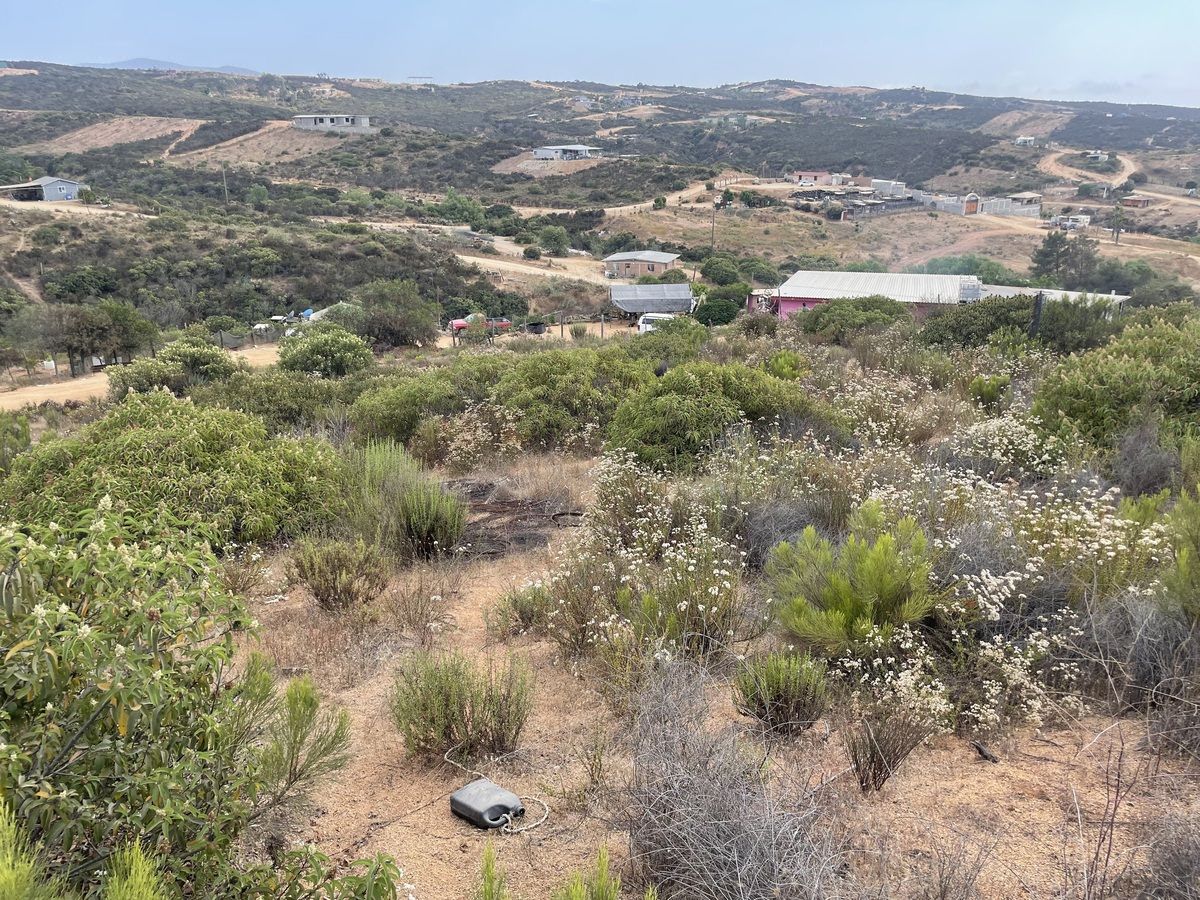 Se Vende Terreno Cerca del Rancho Sandoval