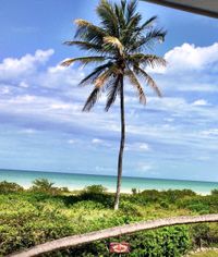 Terreno frente al mar en Venta, Celestún, Yucatán