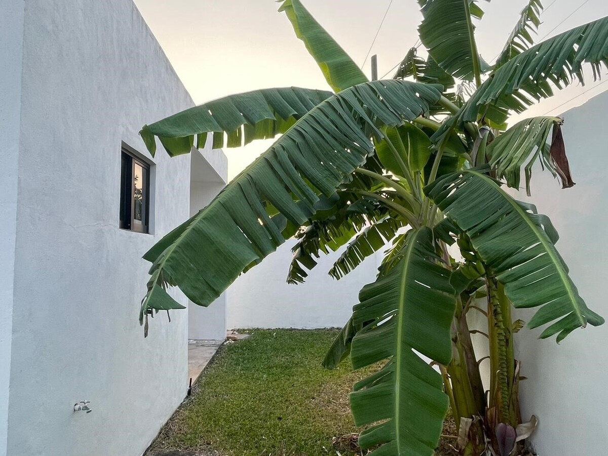 16 de 34