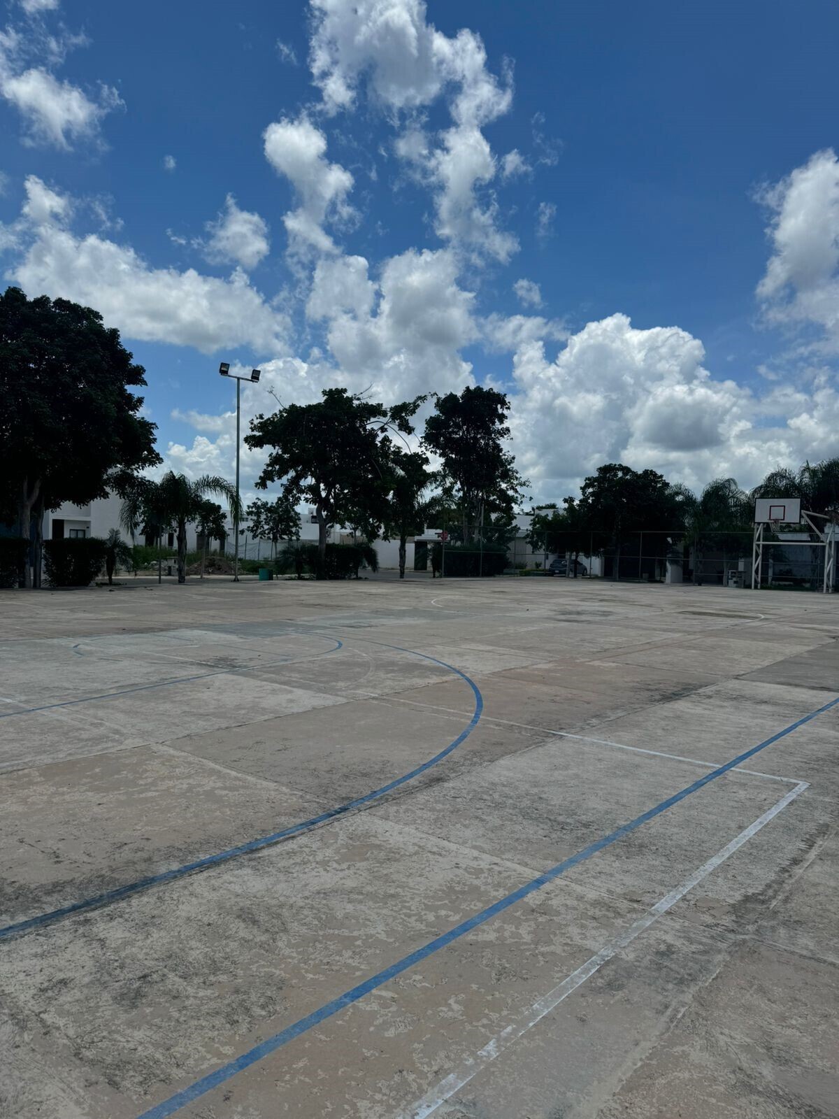 34 de 34