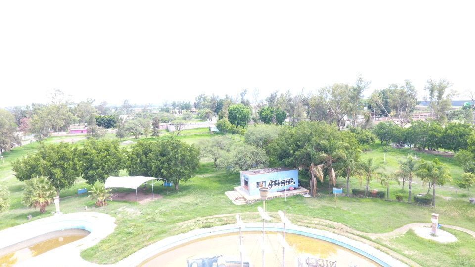 3 de 10