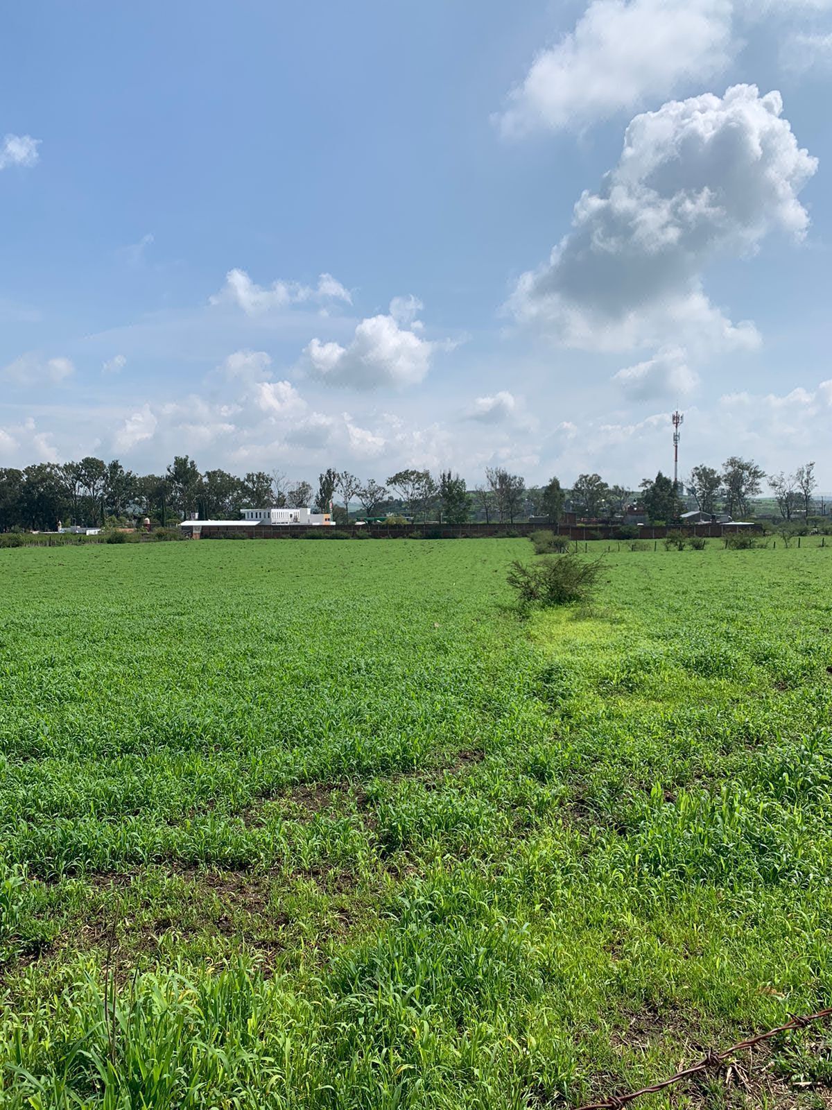 Terreno en venta en Salida Mil Cumbres, Morelia