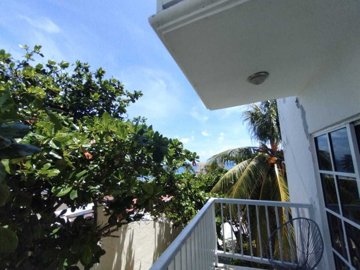 10 de 31