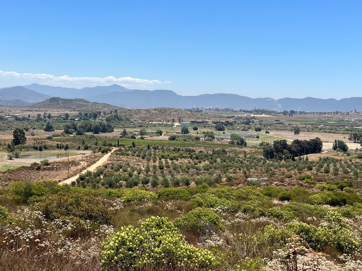 5 mil metros en Valle de Guadalupe