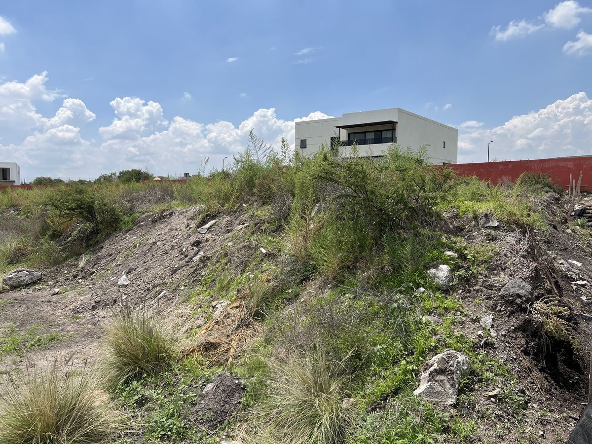 Terreno Venta La Espiga Querétaro Junípero por Refugio privada Fraccionamiento - foto 4