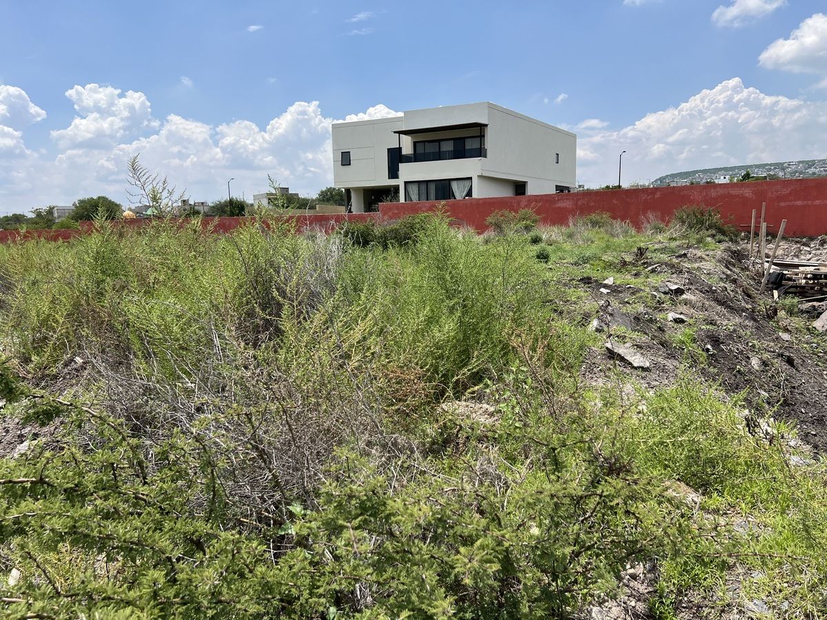 Terreno Venta La Espiga Querétaro Junípero por Refugio privada Fraccionamiento - foto 5