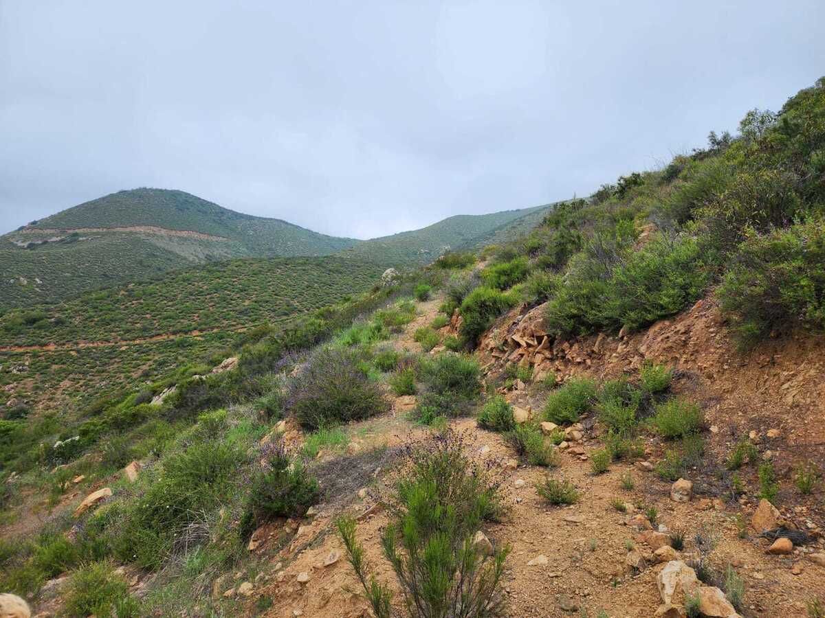 Terrenos de oportunidad en venta en valle de Guadalupe