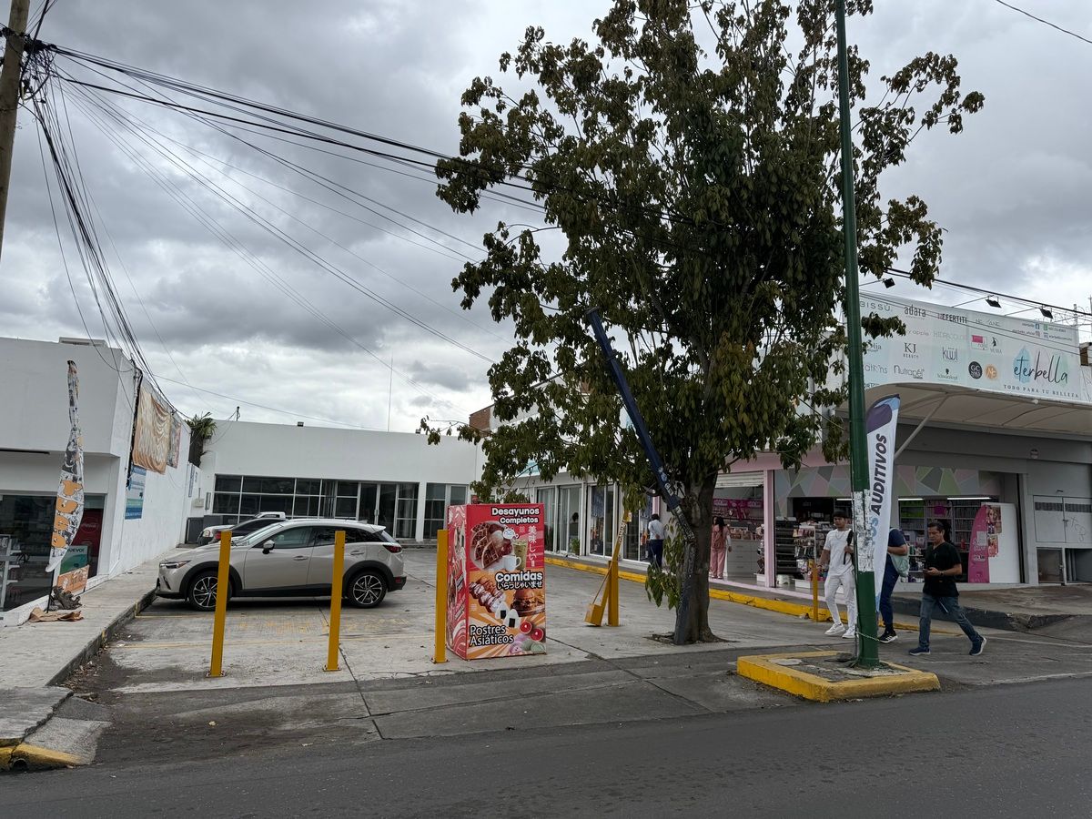 10 de 16