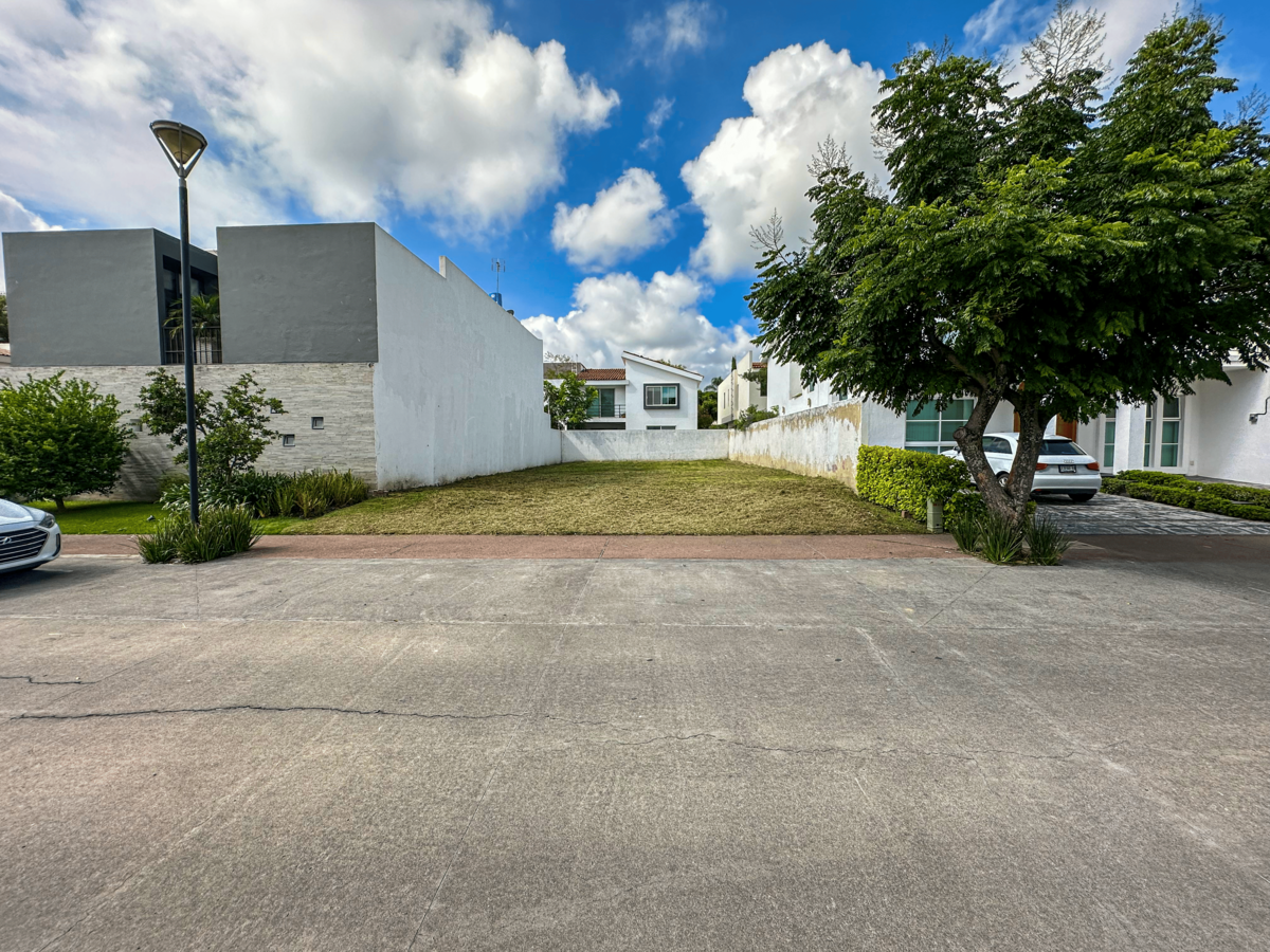 3 de 6