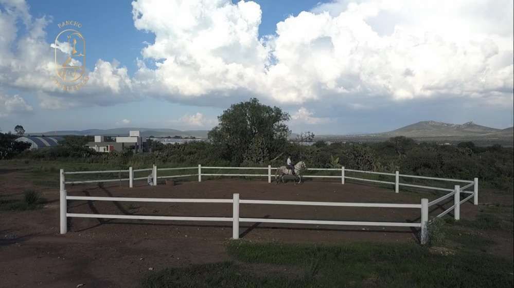 2 de 8