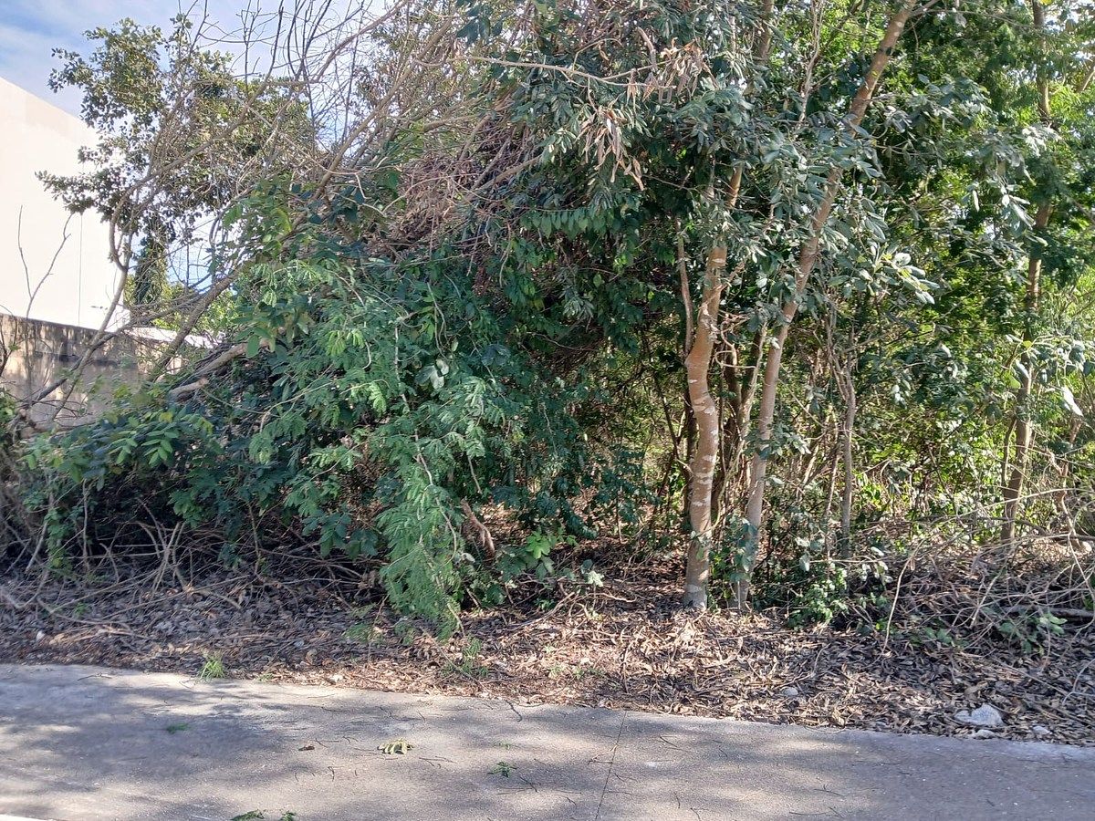 12 of 15: AVANCE DE OBRA FEBRERO 2026