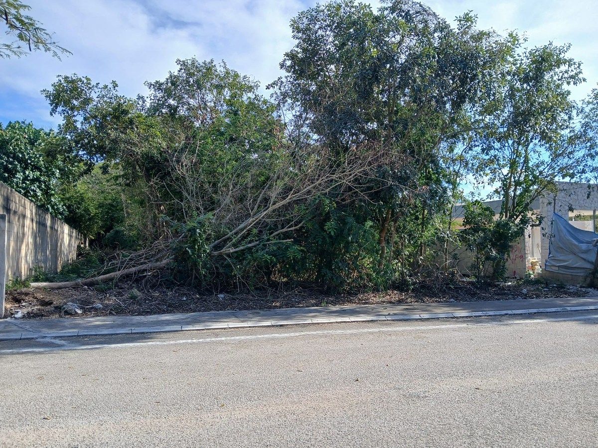 13 of 15: AVANCE DE OBRA FEBRERO 2026