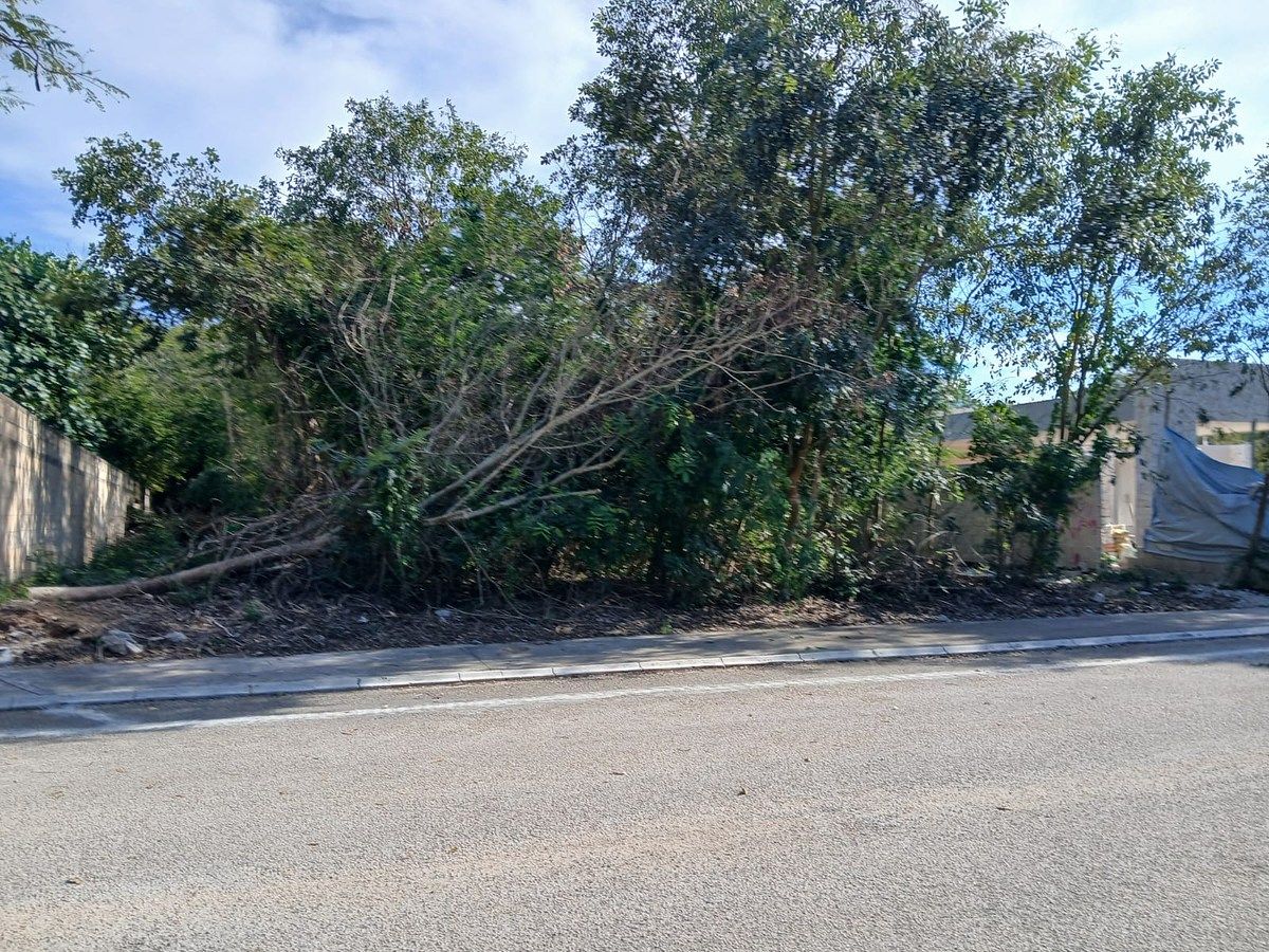 14 of 15: AVANCE DE OBRA FEBRERO 2026