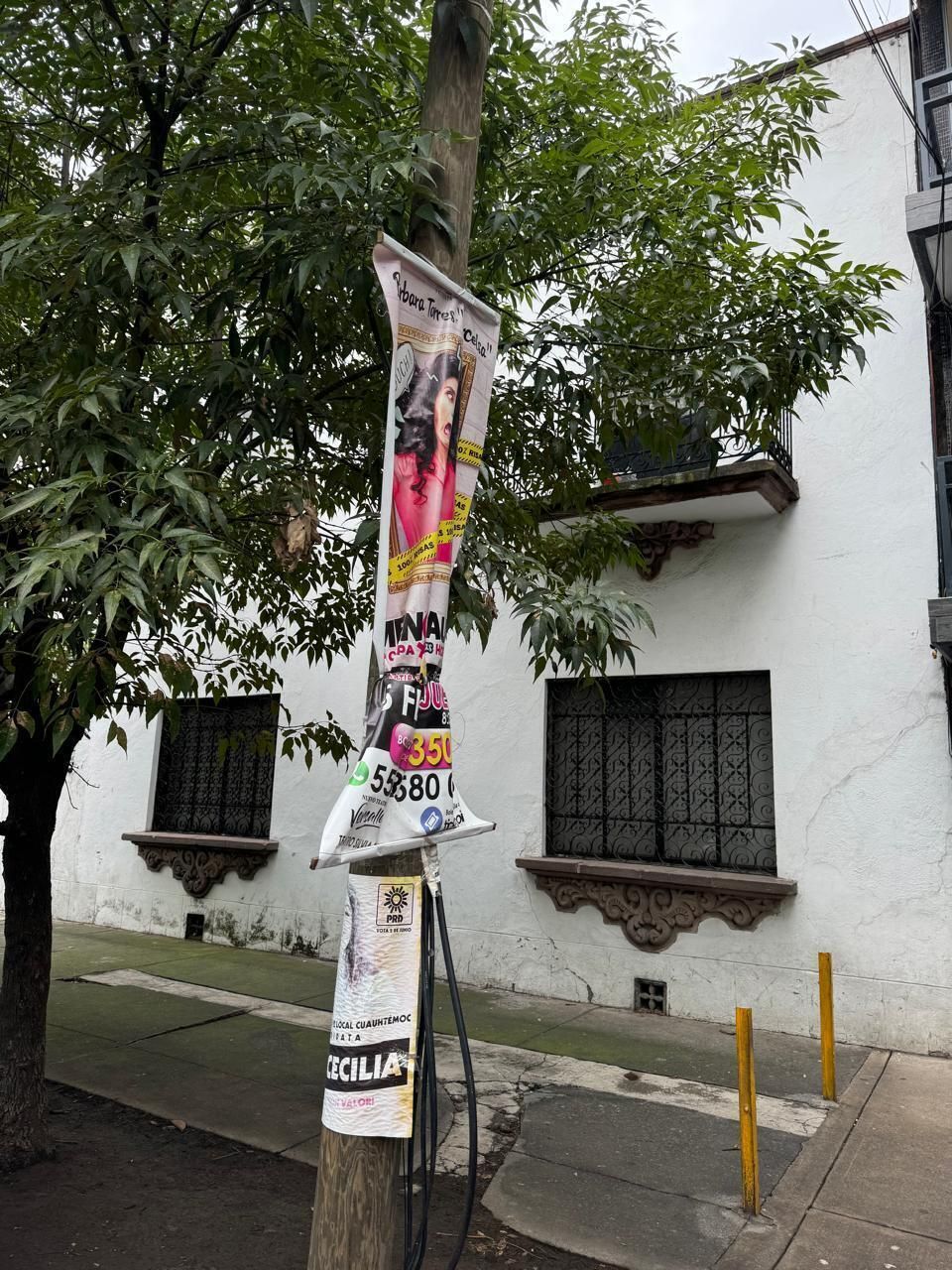 2 de 12