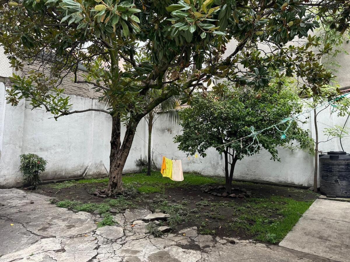 4 de 12