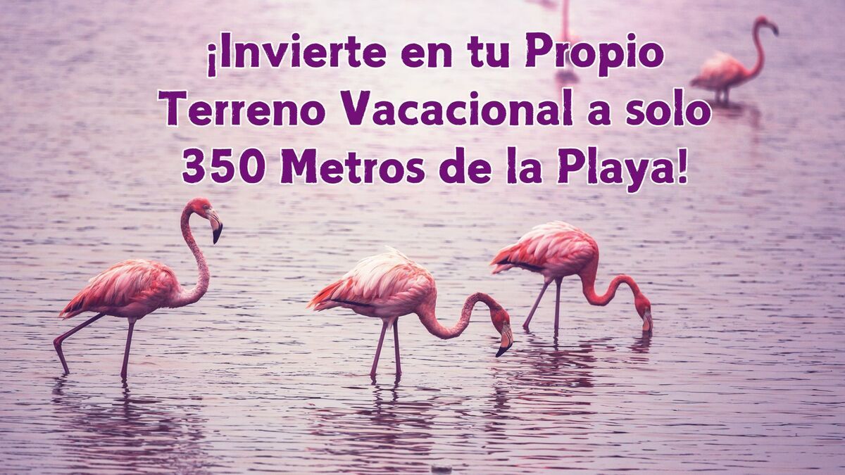 2 de 17