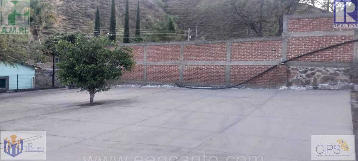 Imagen 3 de 10