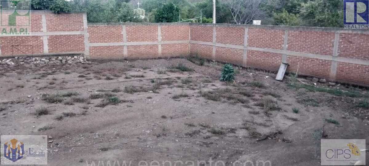 Imagen 5 de 10