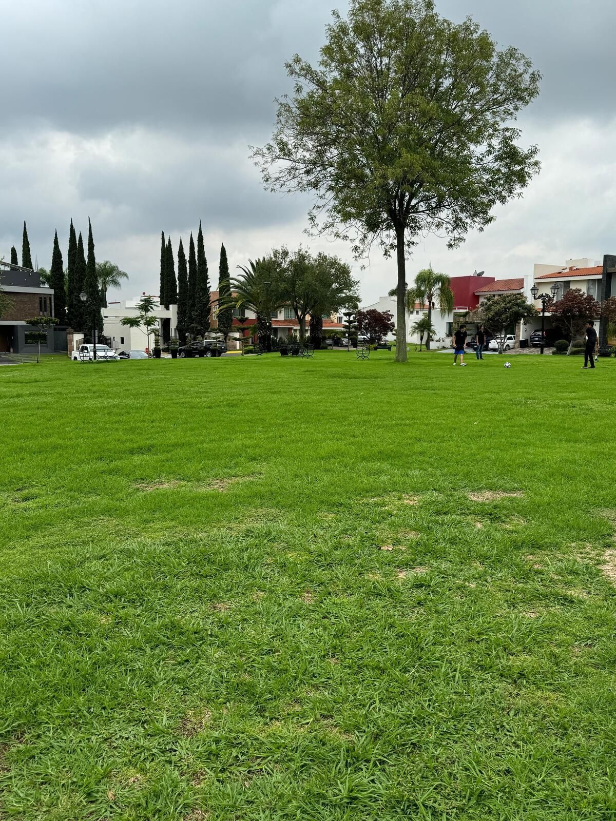 AREA COMUN, foto 3 de 37